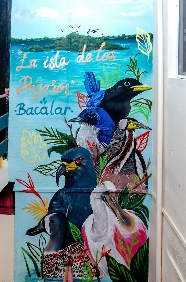 Hotel Rosa Del Alba Chetumal Mexico