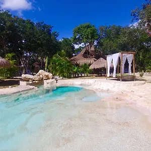 bb-villa-morena-ecoliving.allrivieramayahotels.com/